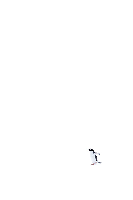 Solitary