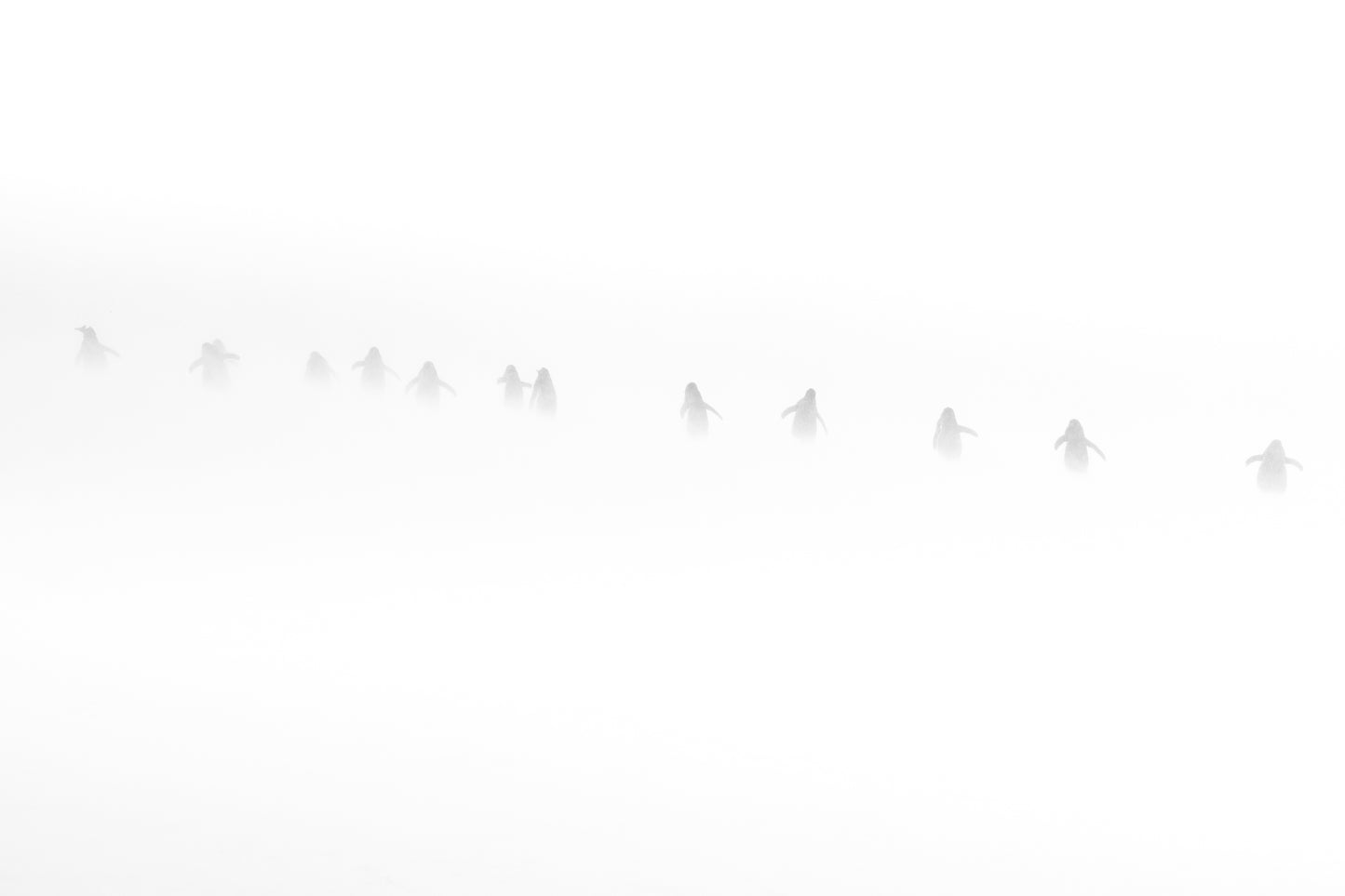 Souls in the snow