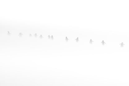 Souls in the snow