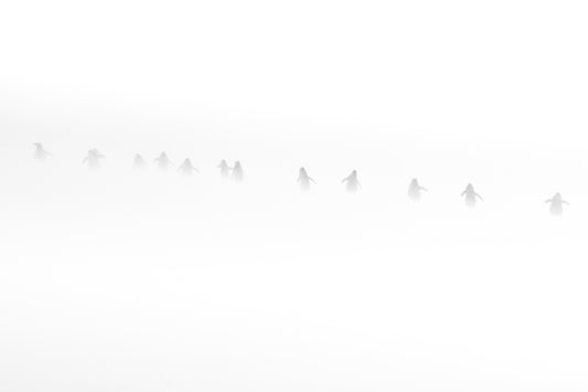 Souls in the snow