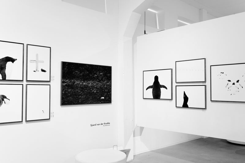 Haute Photographie