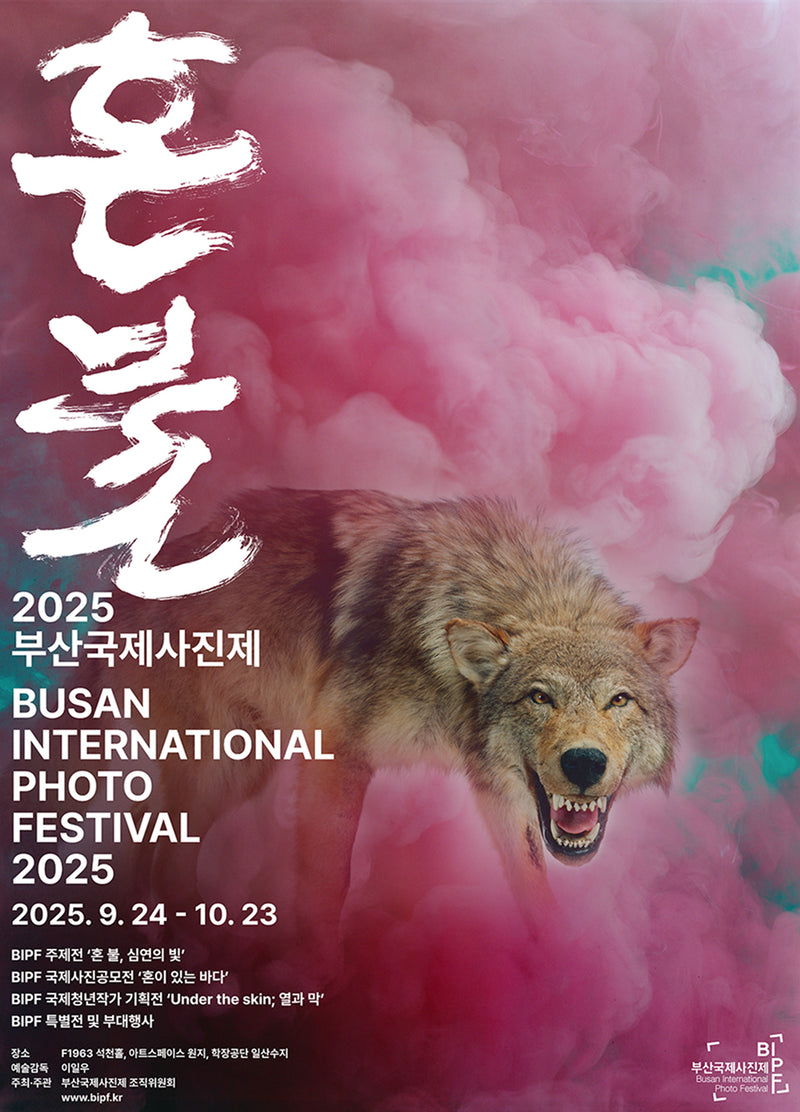Busan international photography festival